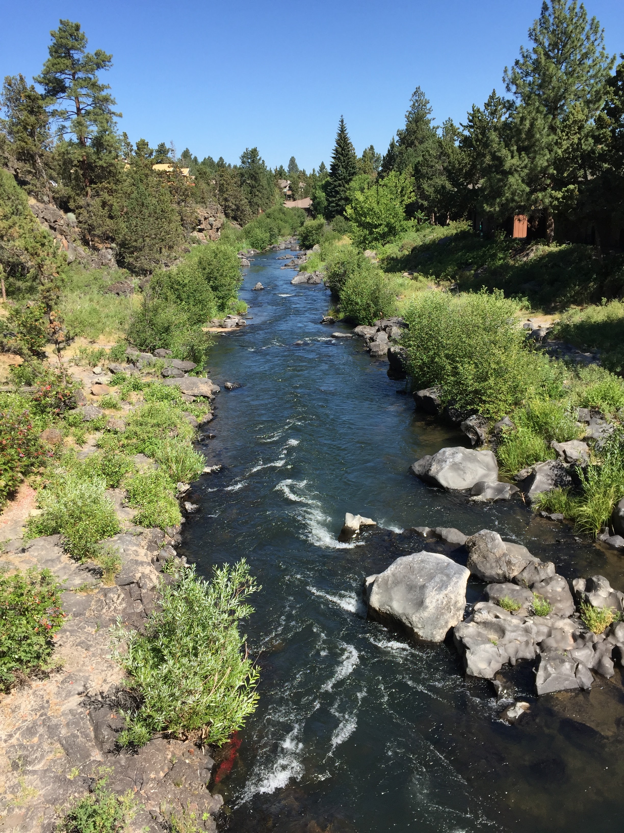 rivers make for better swimming than ice cold mountain lakes we soon found out